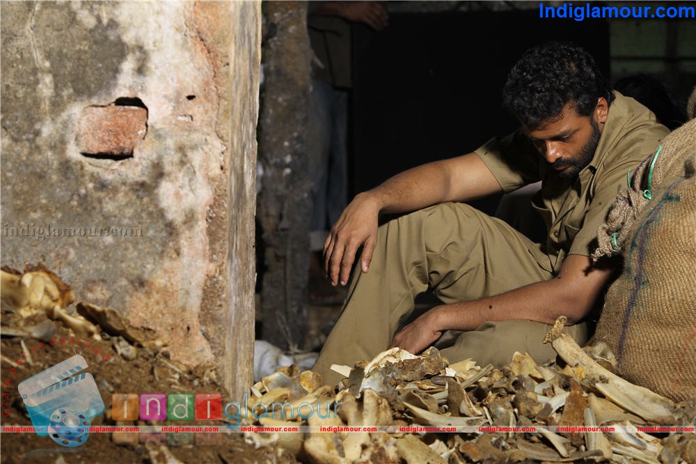 PigMan Movie hd photo