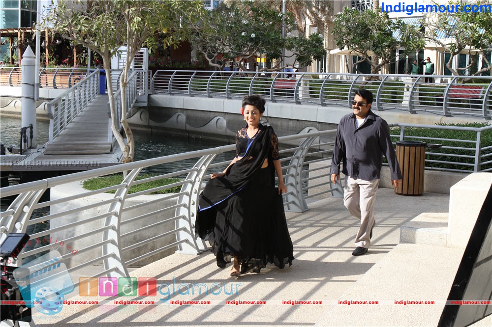 Ladies and Gentleman Movie hd photo