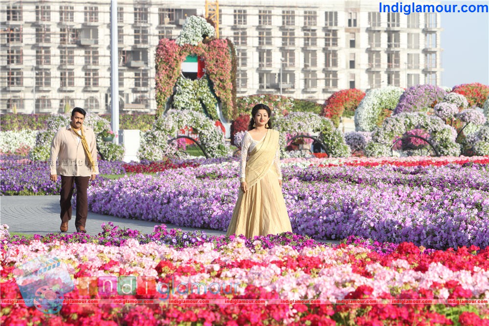 Ladies and Gentleman Movie hd photo