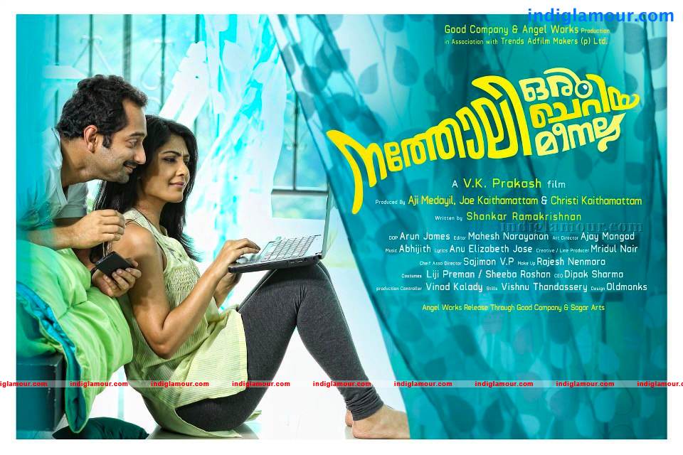 Natholi Oru Cheriya Meenalla Movie hd photo