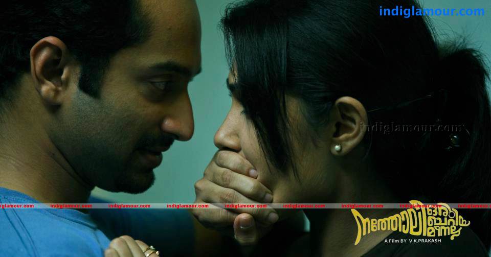 Natholi Oru Cheriya Meenalla Movie hd photo