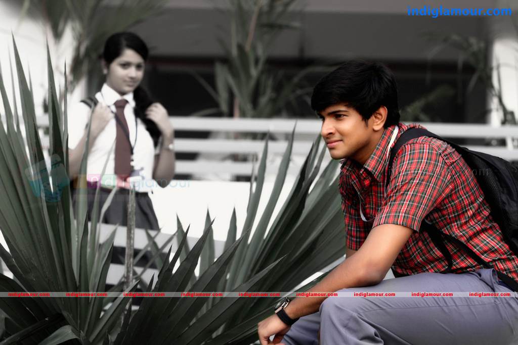 Black Butterflies Movie hd photo