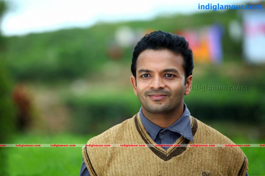 David And Goliath Movie hd photo