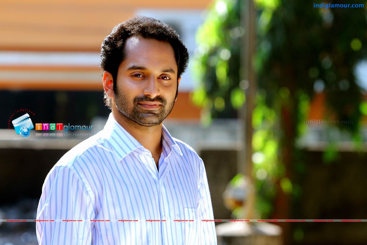 Red Wine Movie hd photo