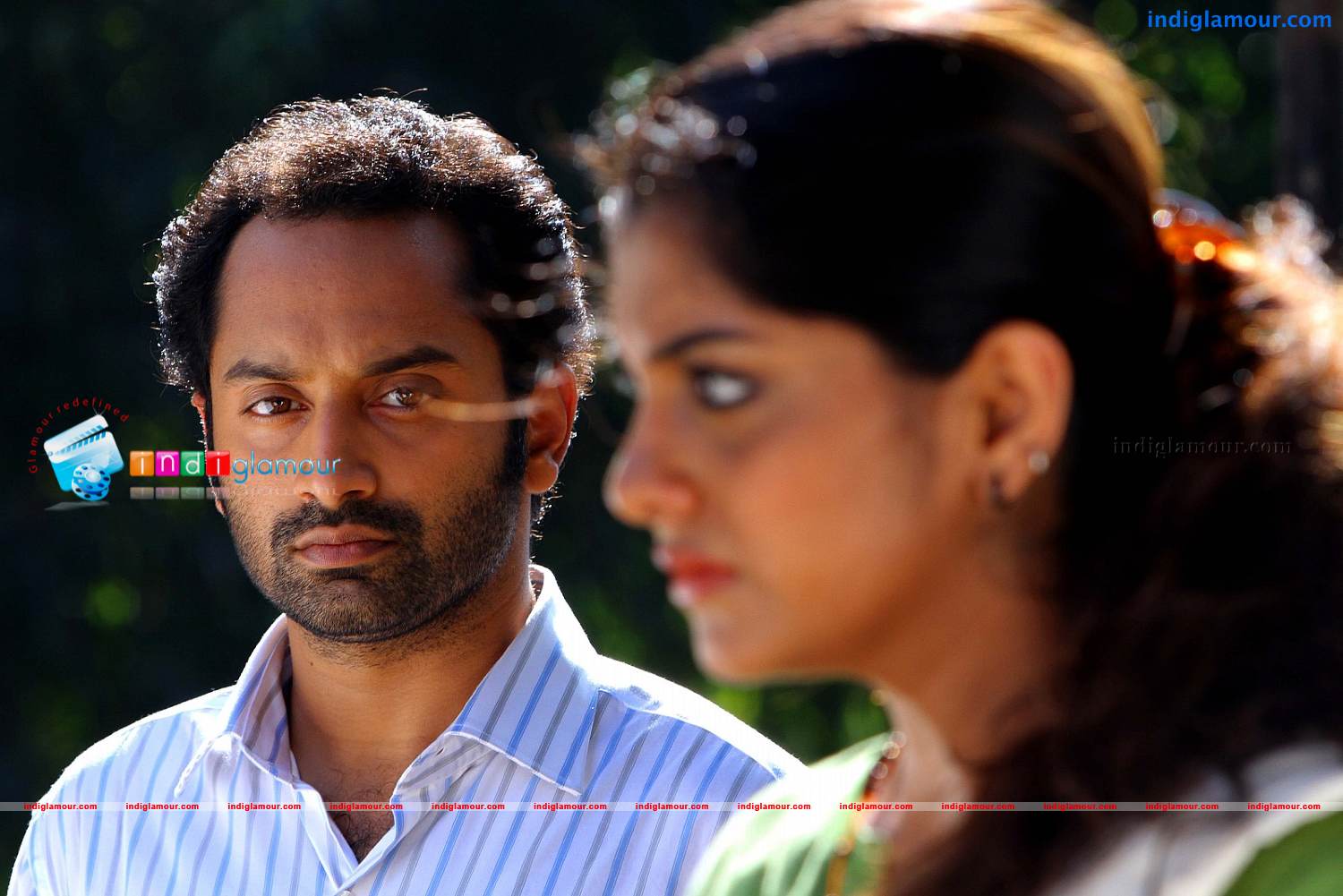 Red Wine Movie hd photo