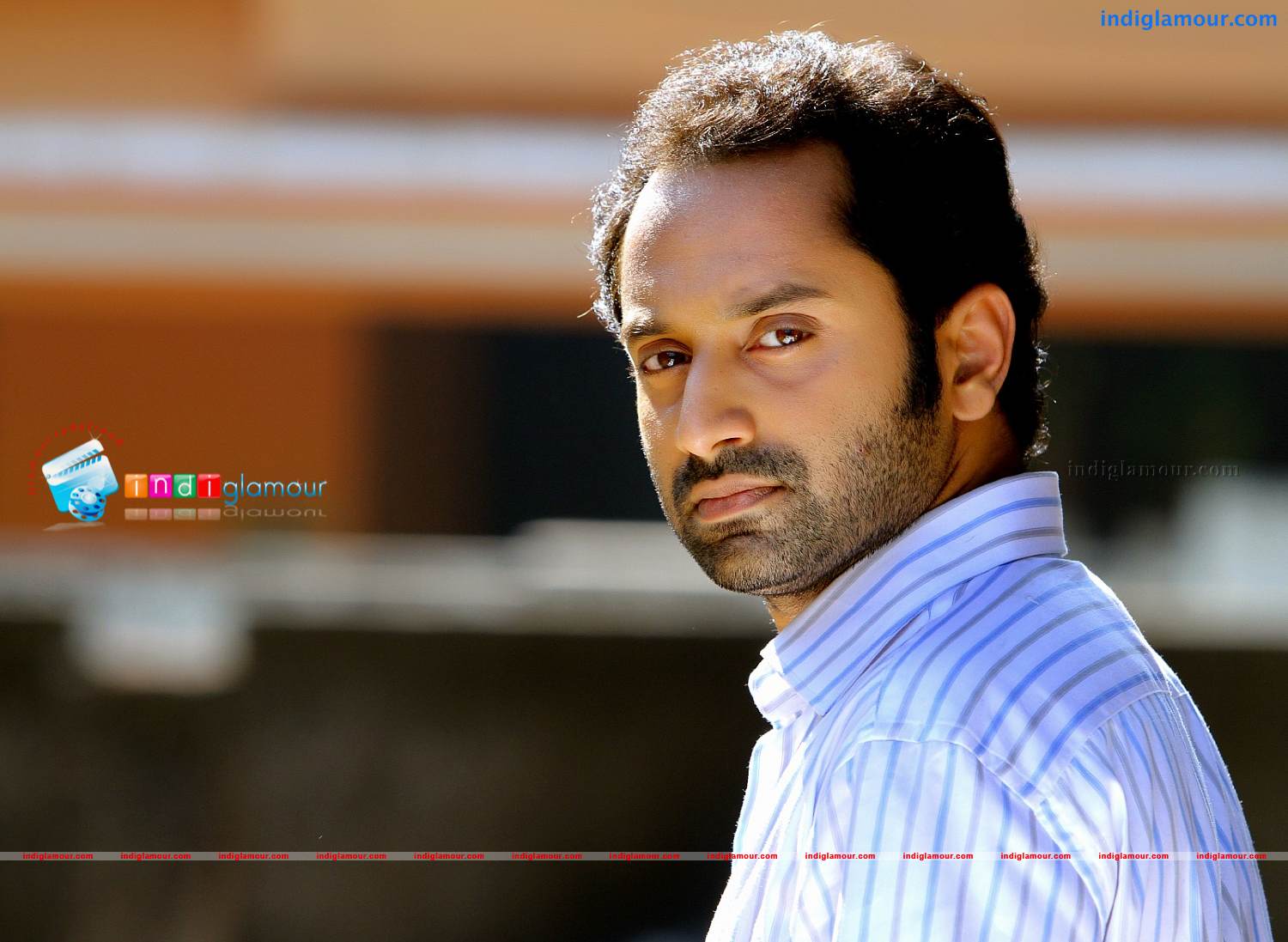 Red Wine Movie hd photo