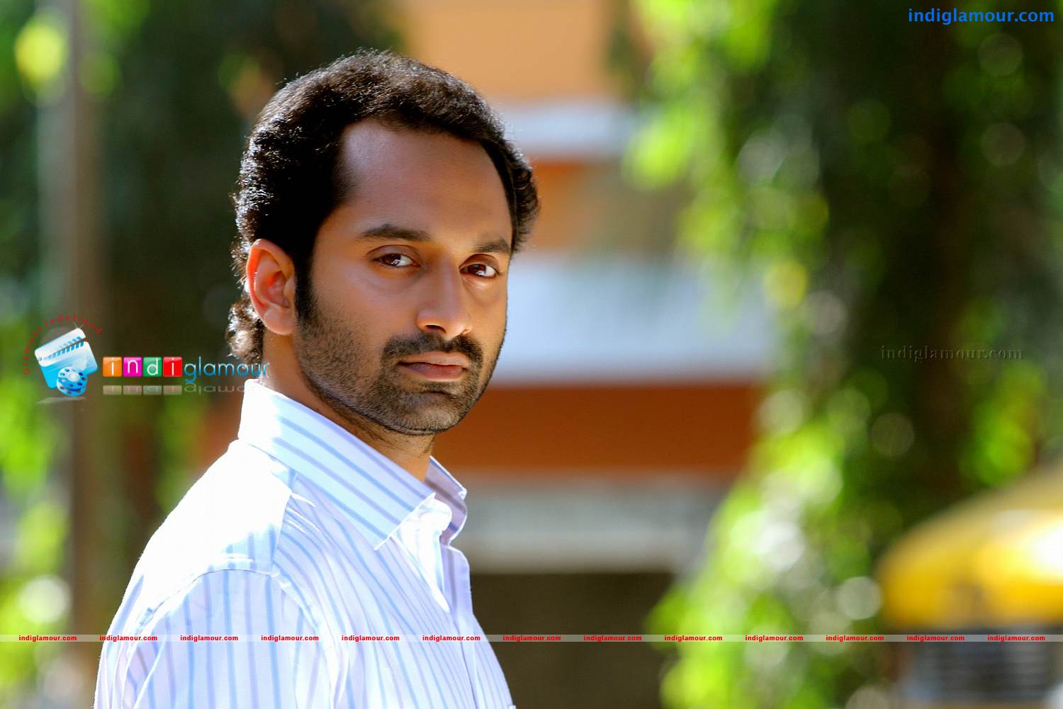 Red Wine Movie hd photo