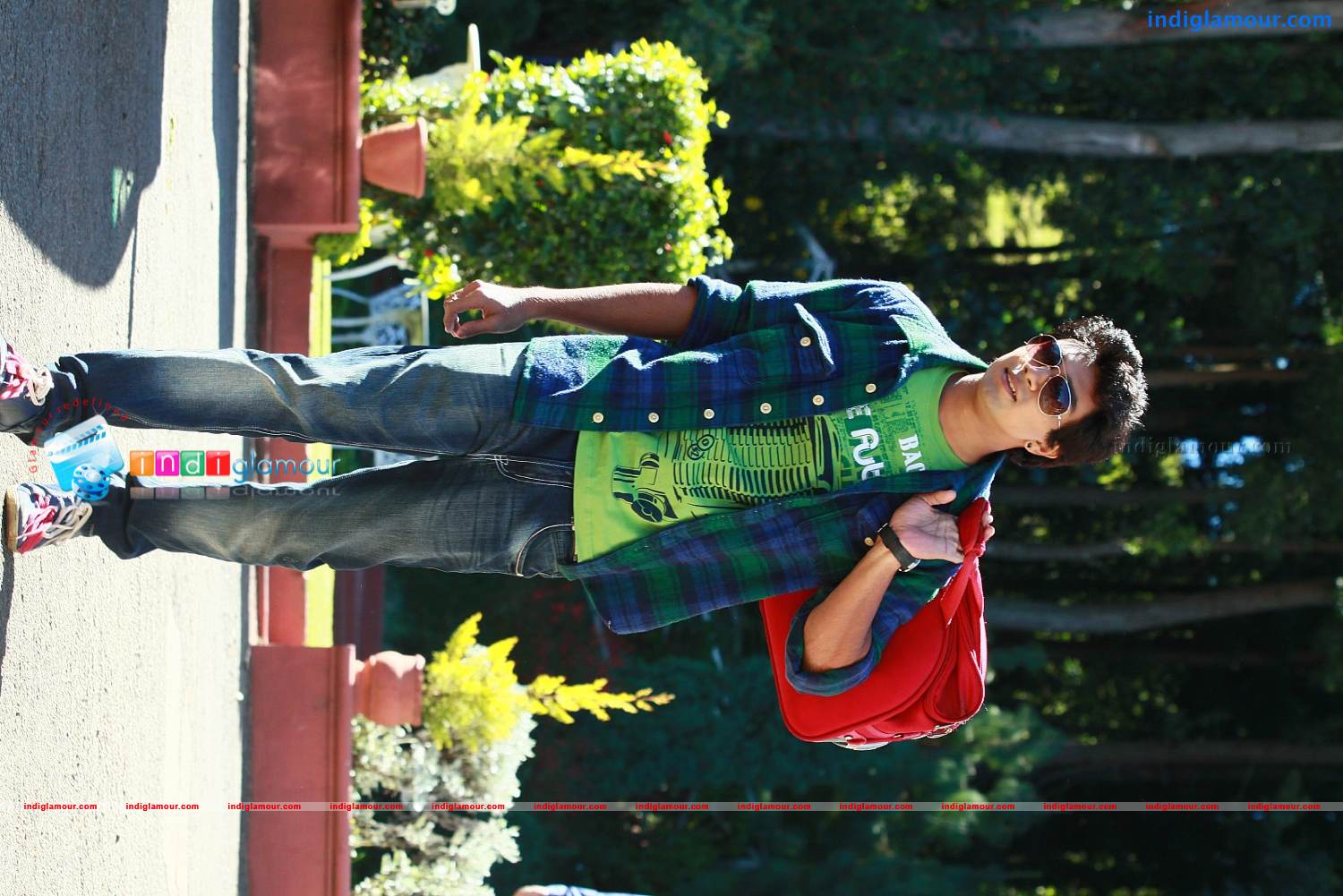 Buddy Movie hd photo