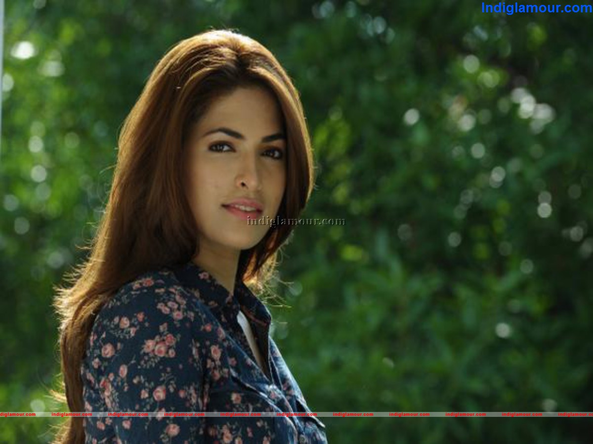 KQ Movie hd photo