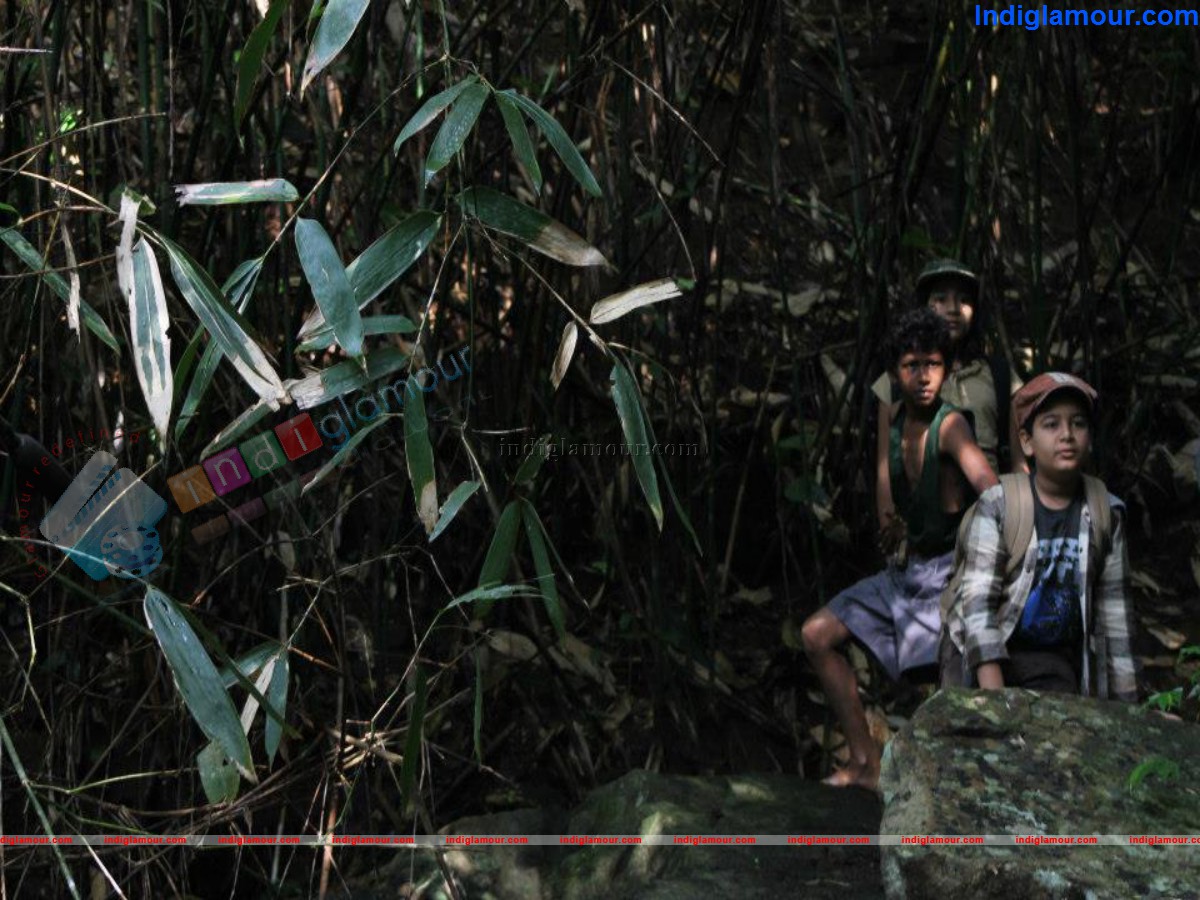 Black Forest Movie hd photo