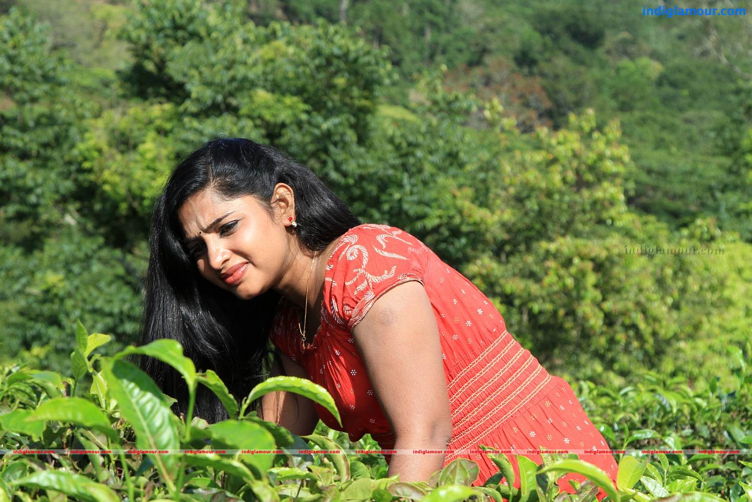 Oru Penkuttyum 3 Kaamukanmarum Movie hd photo