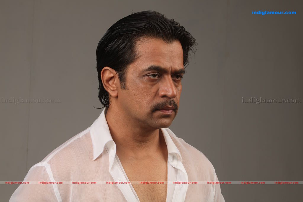 Arjun Tamil Actor Photos Stills - photo #119692