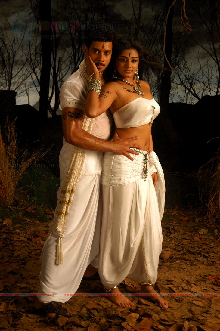Priyamani Actress hd photo