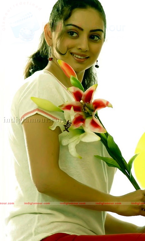 Hema Malini Actress hd photo