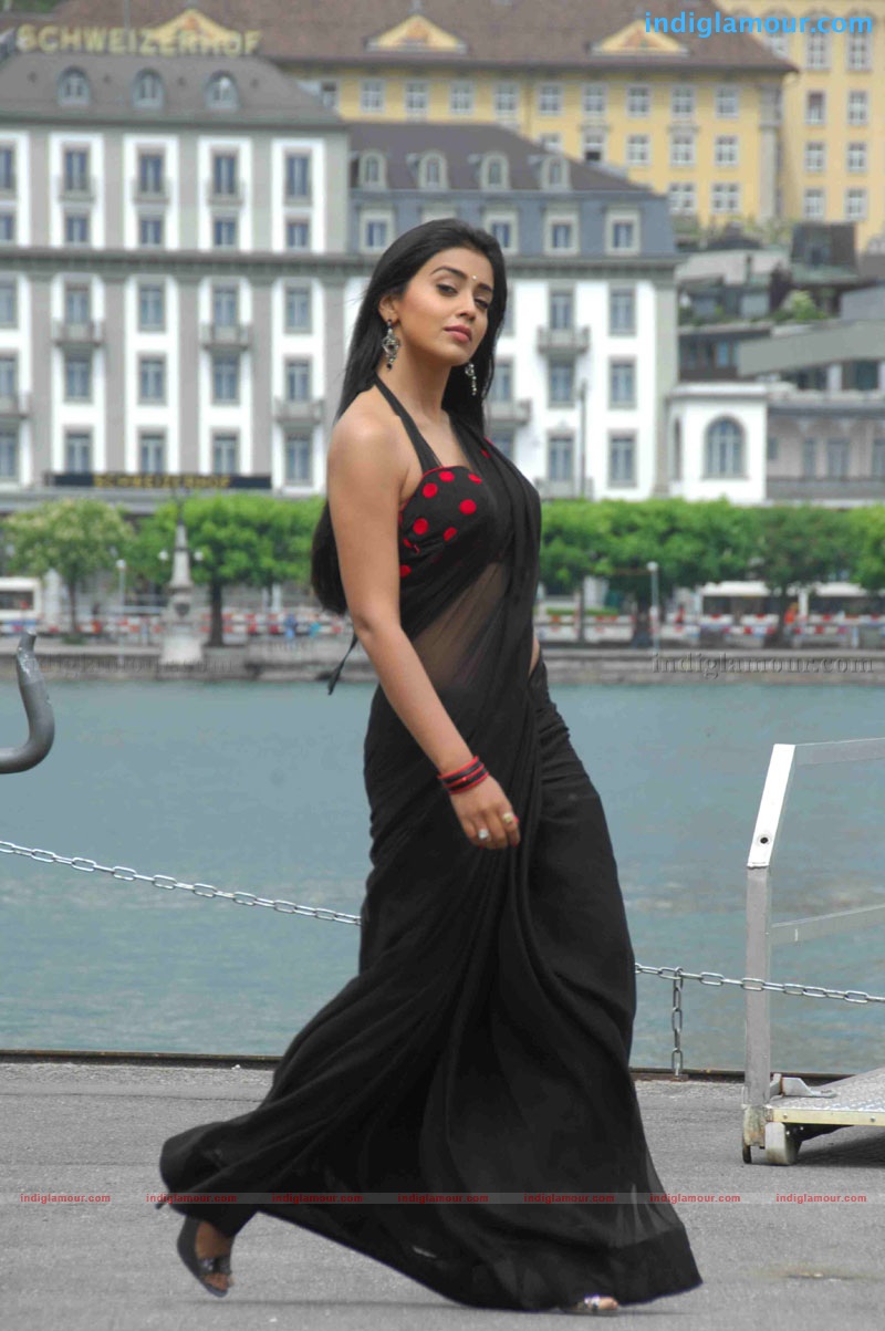 Shriya Saran Actress hd photo