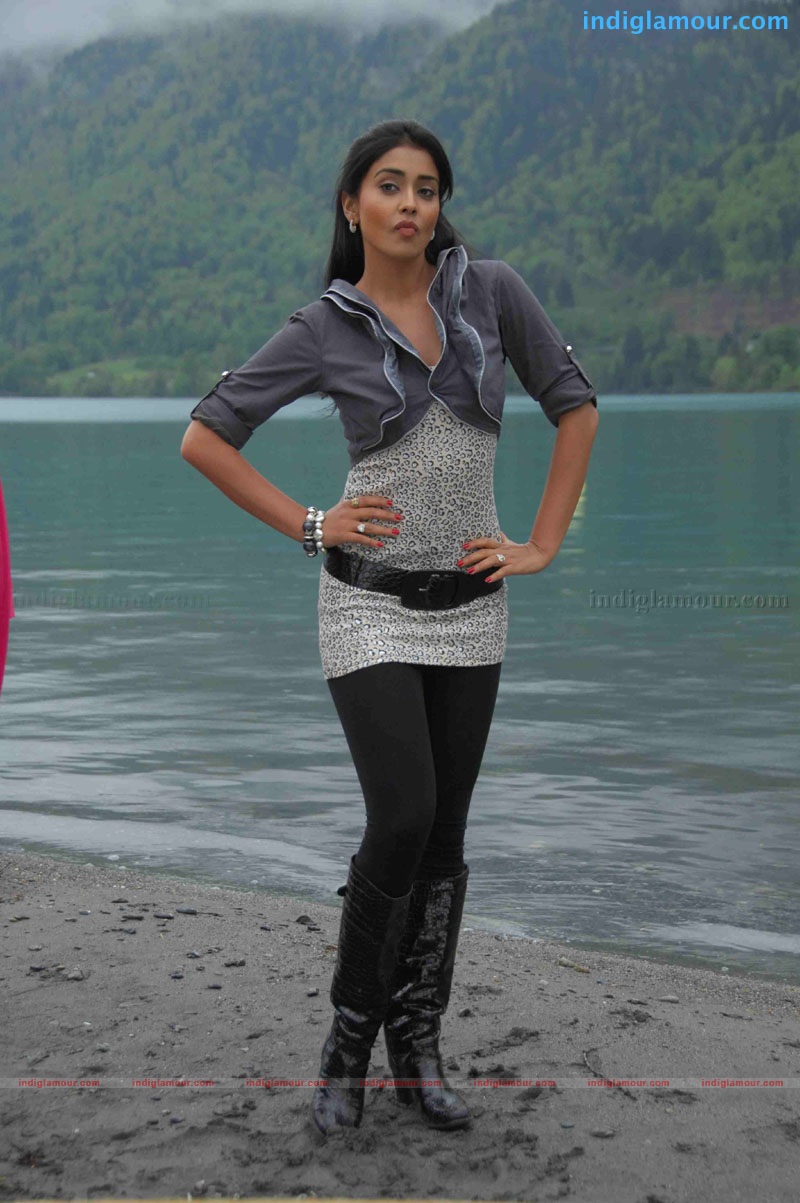 Shriya Saran Actress hd photo