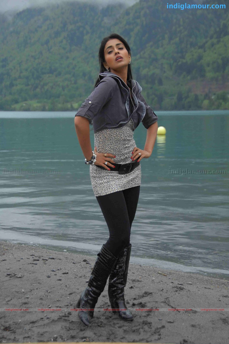 Shriya Saran Actress hd photo