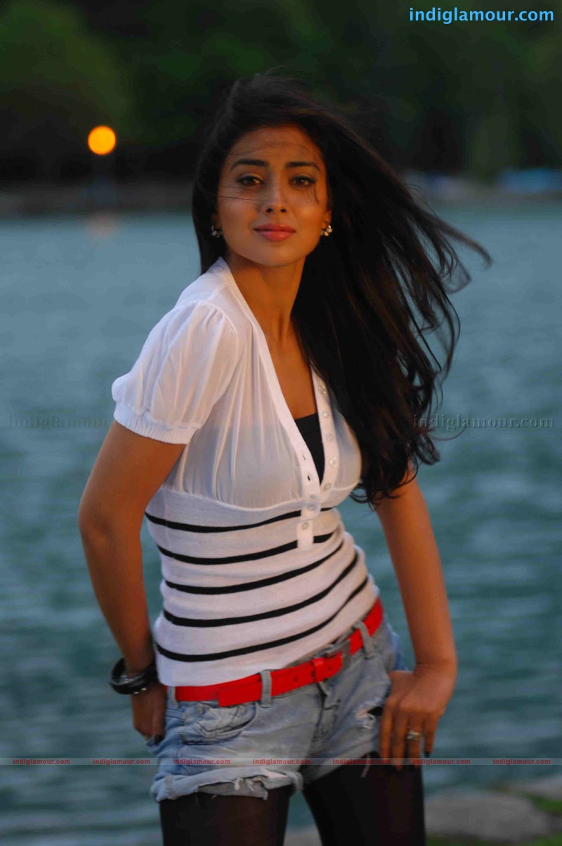Shriya Saran Actress hd photo