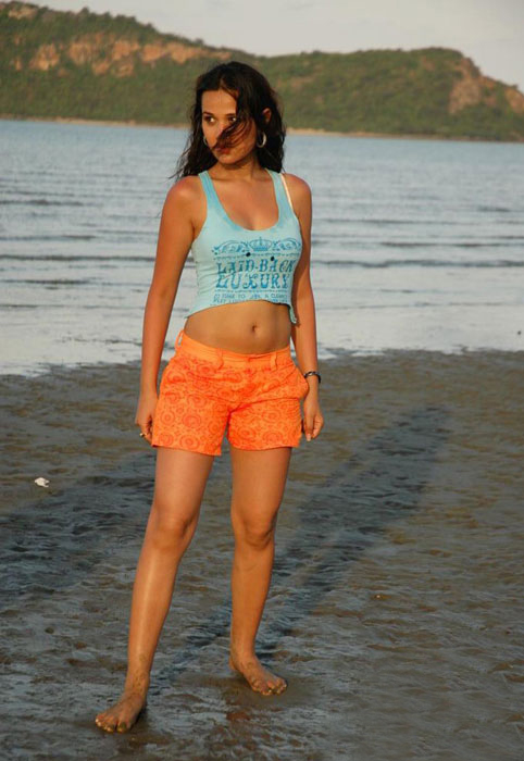 Nisha Kothari Actress hd photo