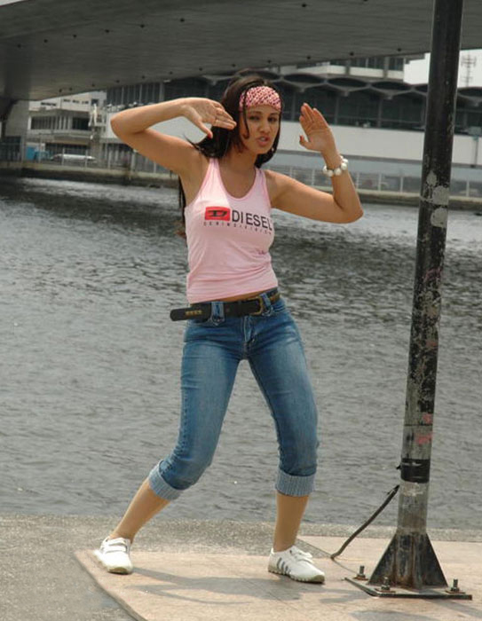 Nisha Kothari Actress hd photo