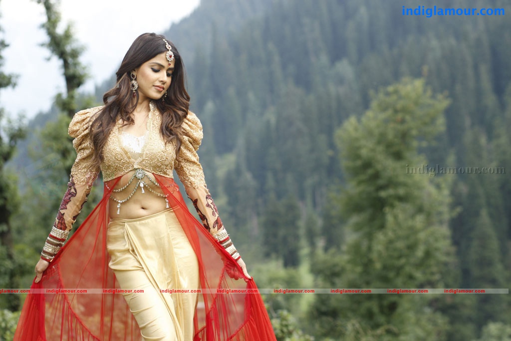 Genelia Actress hd photo