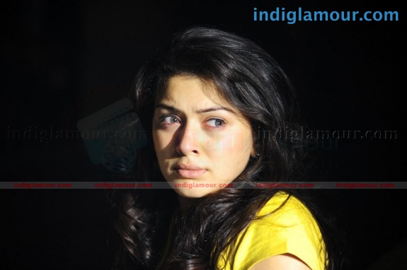 Hansika Motwani Actress hd photo