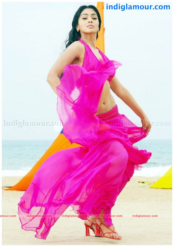 Shriya Saran Actress hd photo