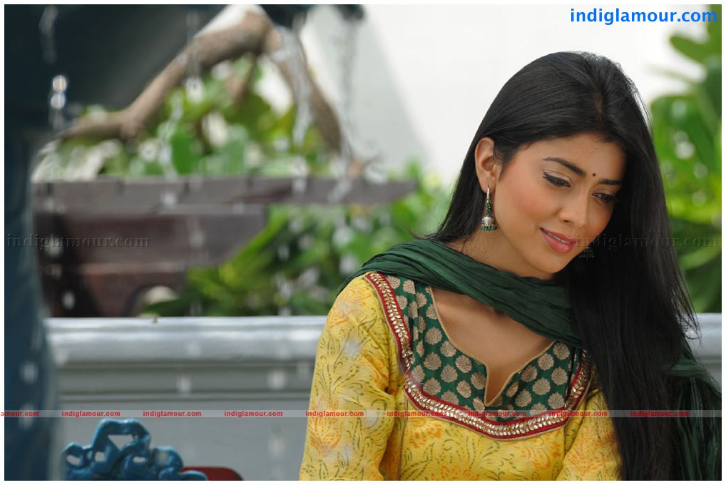Shriya Saran Actress hd photo