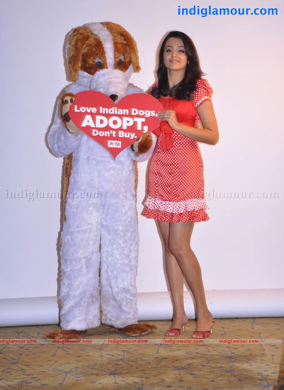 Trisha Actress hd photo
