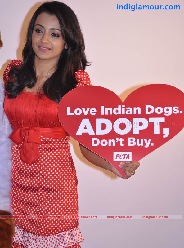 Trisha Actress hd photo