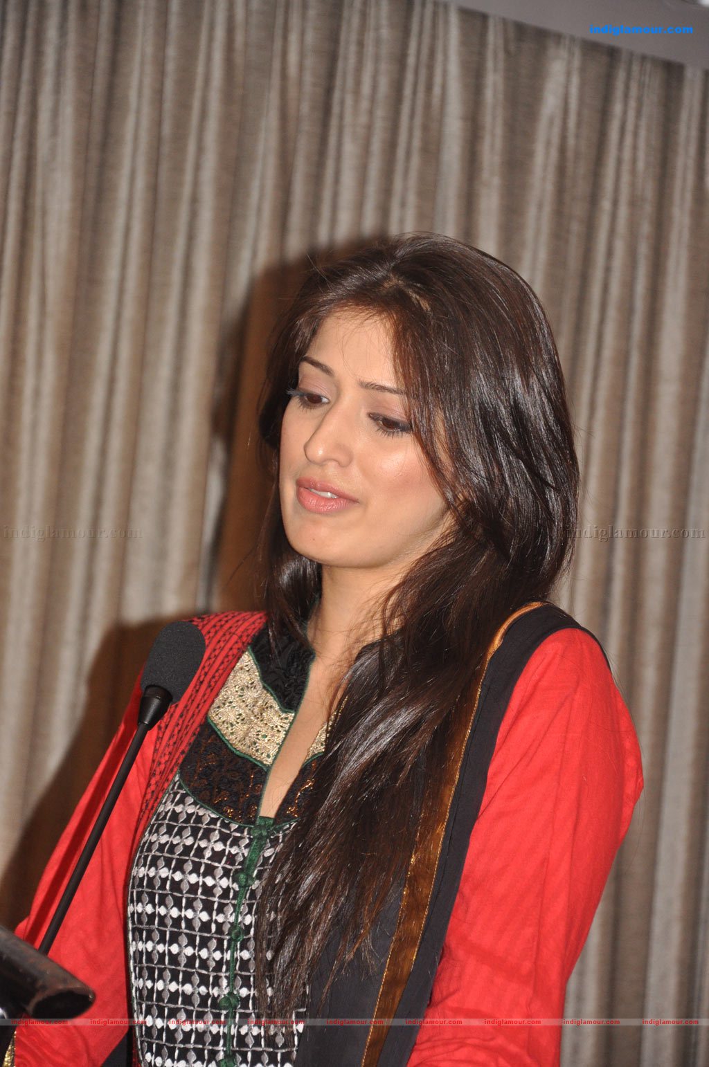 Lakshmi Rai Actress hd photo