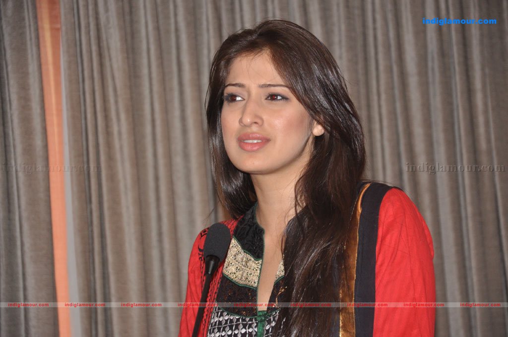 Lakshmi Rai Actress hd photo