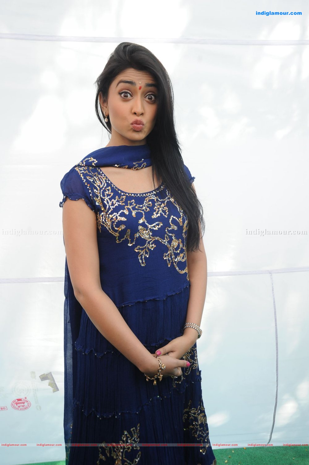 Shriya Saran Actress hd photo