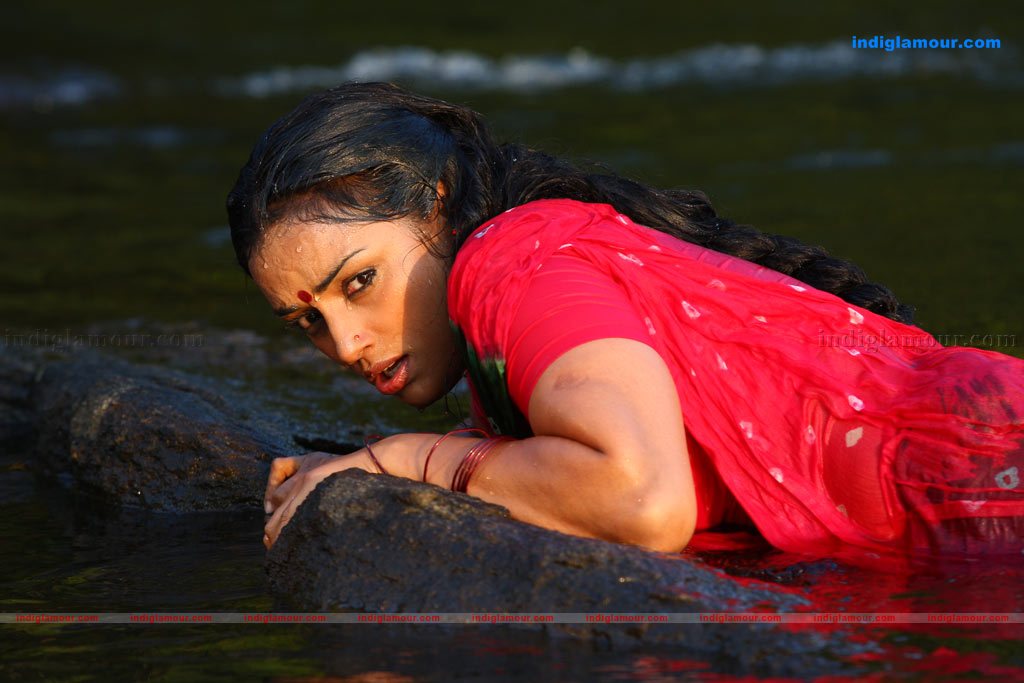 Shwetha Menon Actress hd photo
