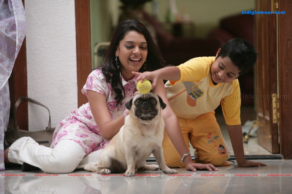 Richa Pallod Actress hd photo