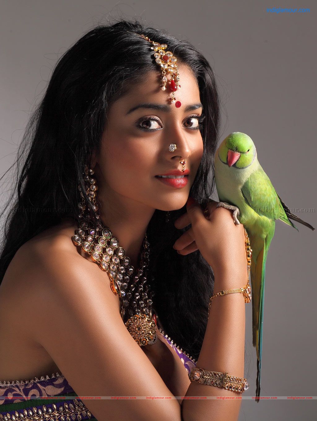 Shriya Saran Actress hd photo