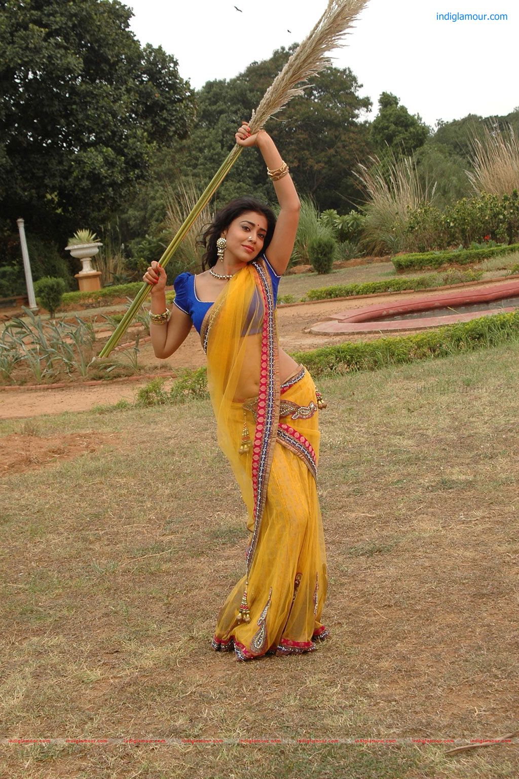 Shriya Saran Actress hd photo