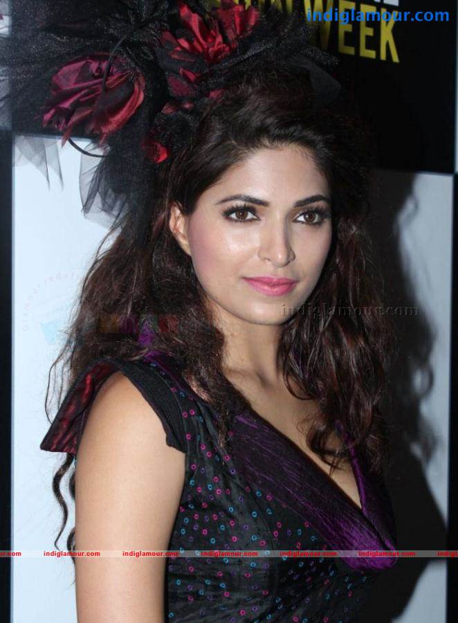 Parvathy Omanakuttan Actress hd photo