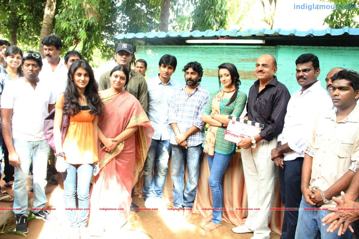 Trisha Actress hd photo