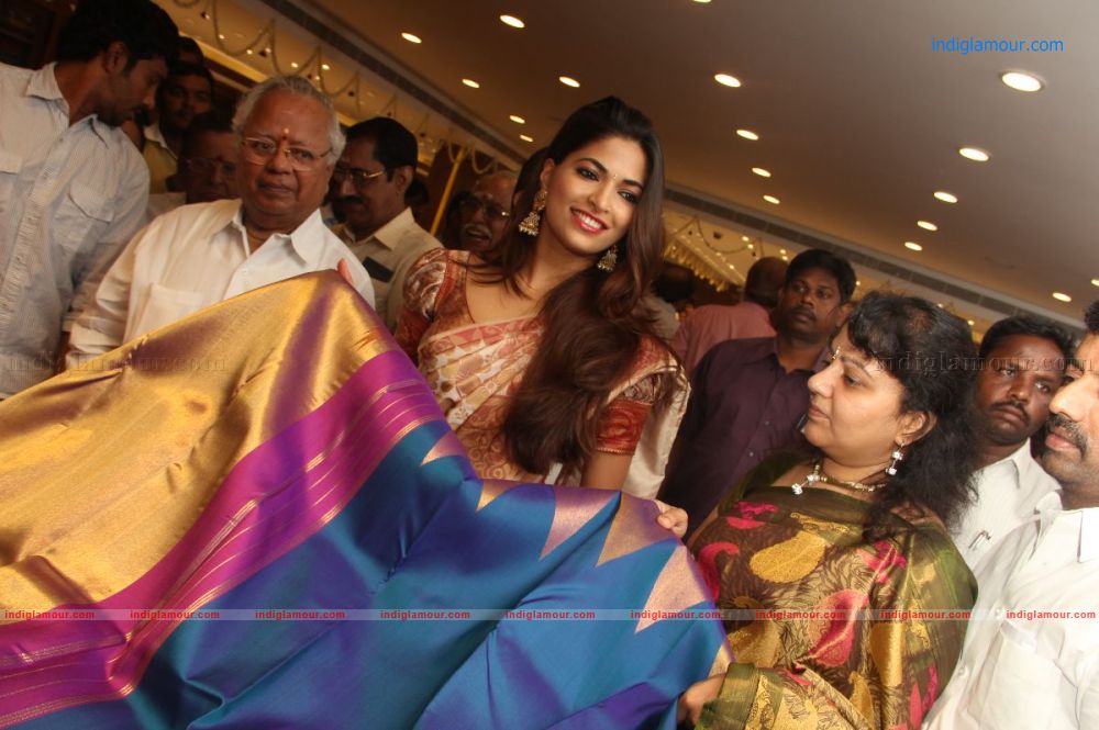 Parvathy Omanakuttan Actress hd photo