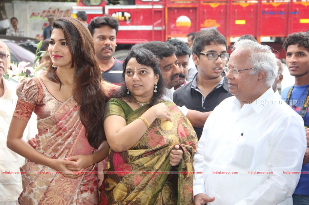 Parvathy Omanakuttan Actress hd photo