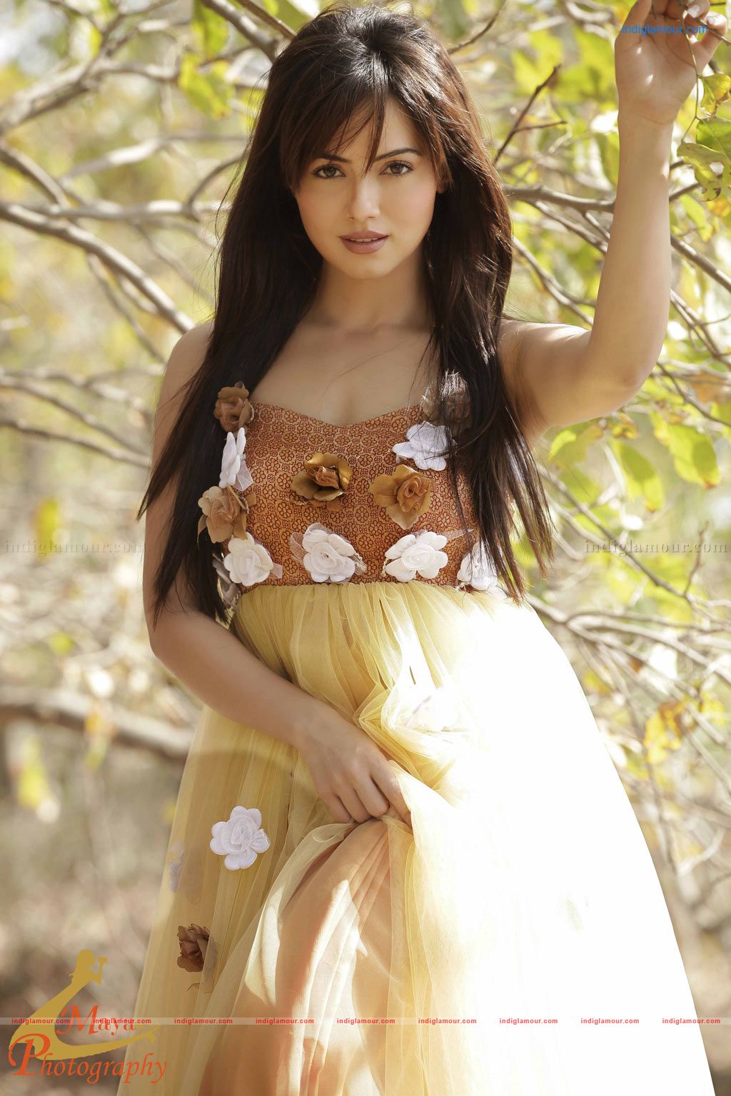 Sana Khan Actress hd photo