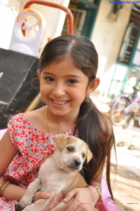 Sara Arjun