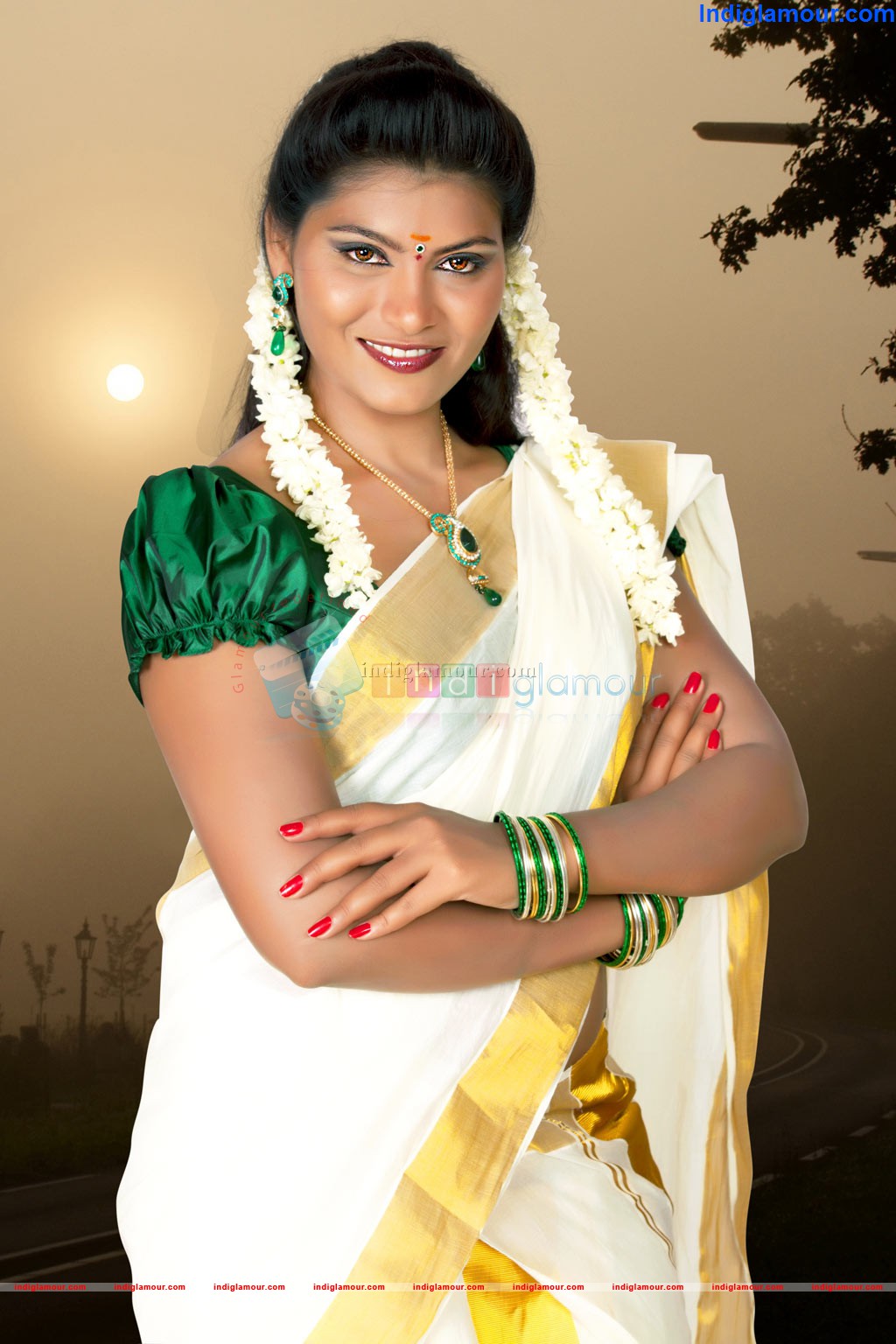 Hema Jilloju Actress hd photo