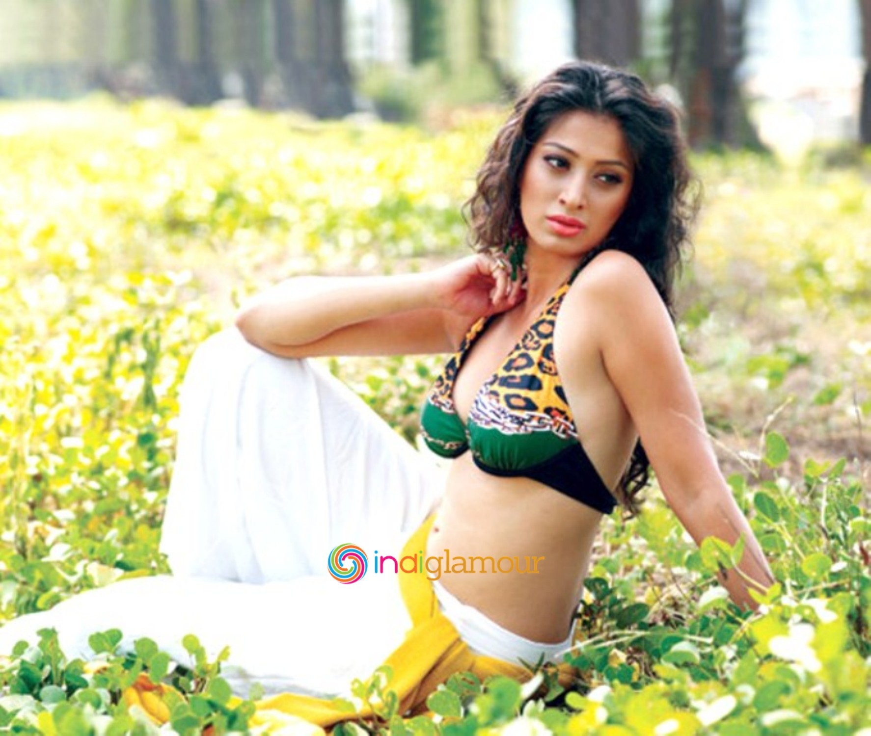 Raai Laxmi Actress hd photo