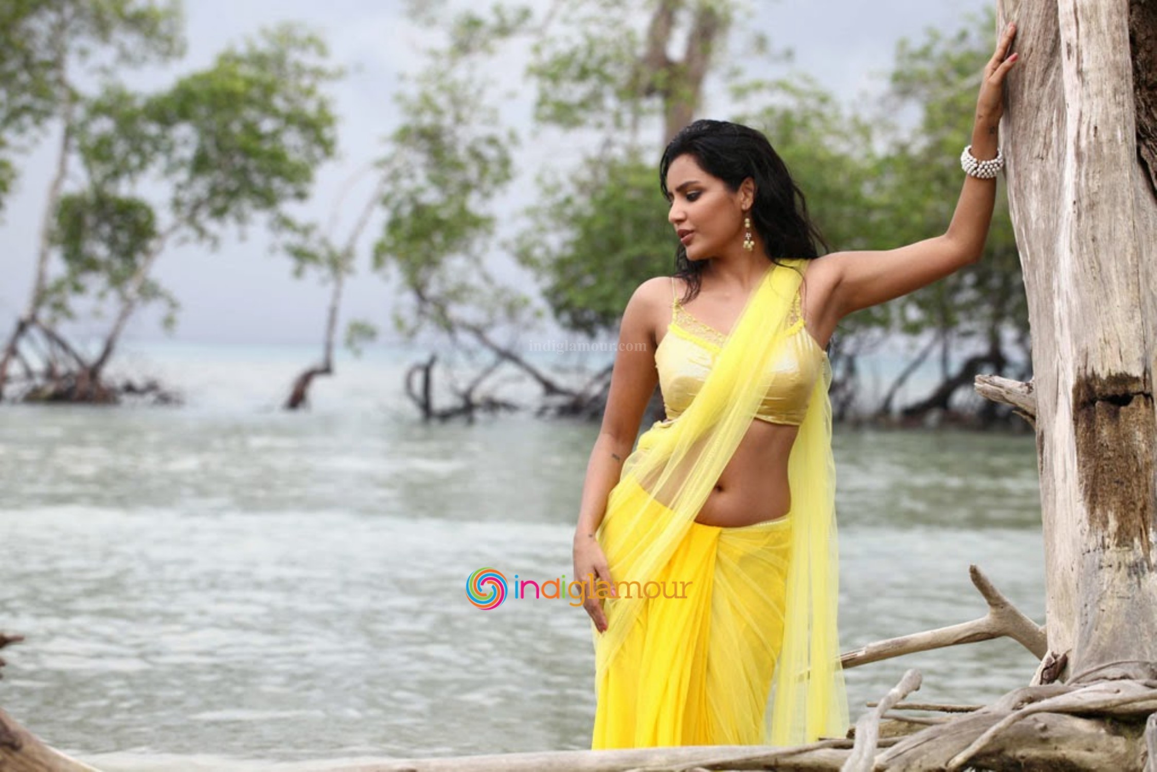 Priya Anand Actress hd photo