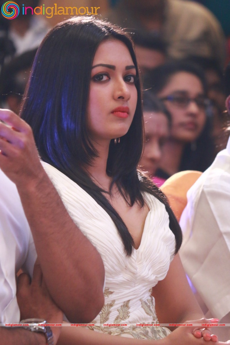 Catherine Tresa Actress hd photo