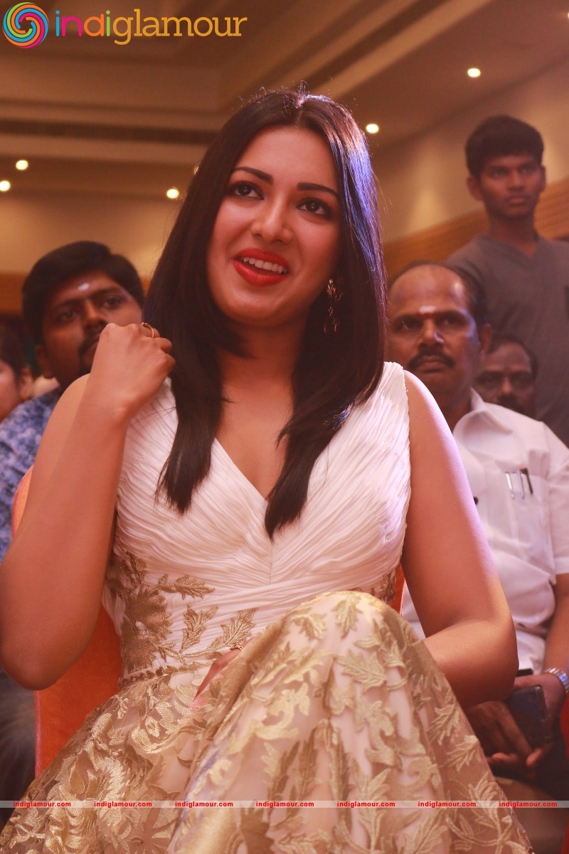 Catherine Tresa Actress hd photo