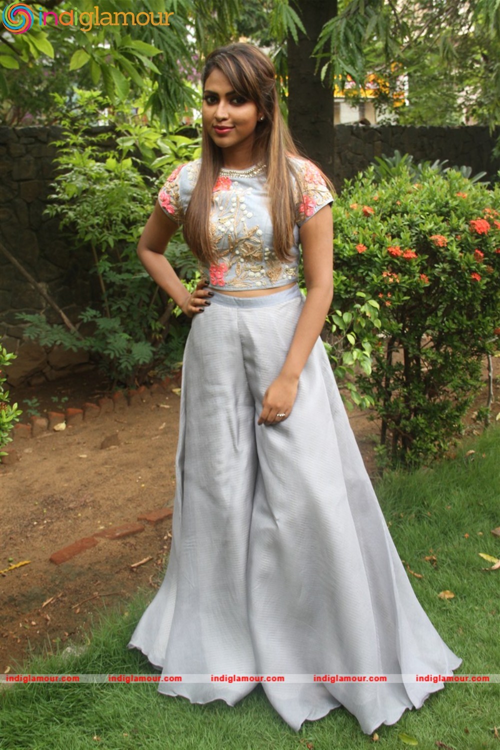 Amala Paul Actress hd photo