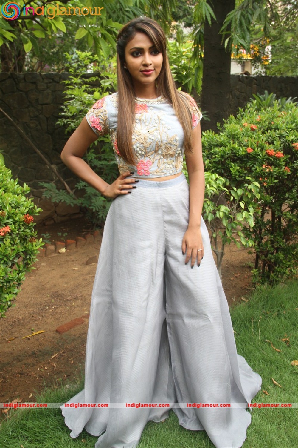 Amala Paul Actress hd photo